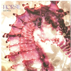 Horse - Sweet thing